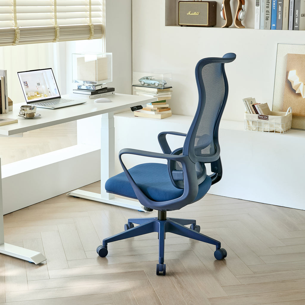 Ergonomic Colorful Office Chair 350LBS Home Office Mesh Breathable High Back, With Adjustable Lumbar Support Computer Chair, 