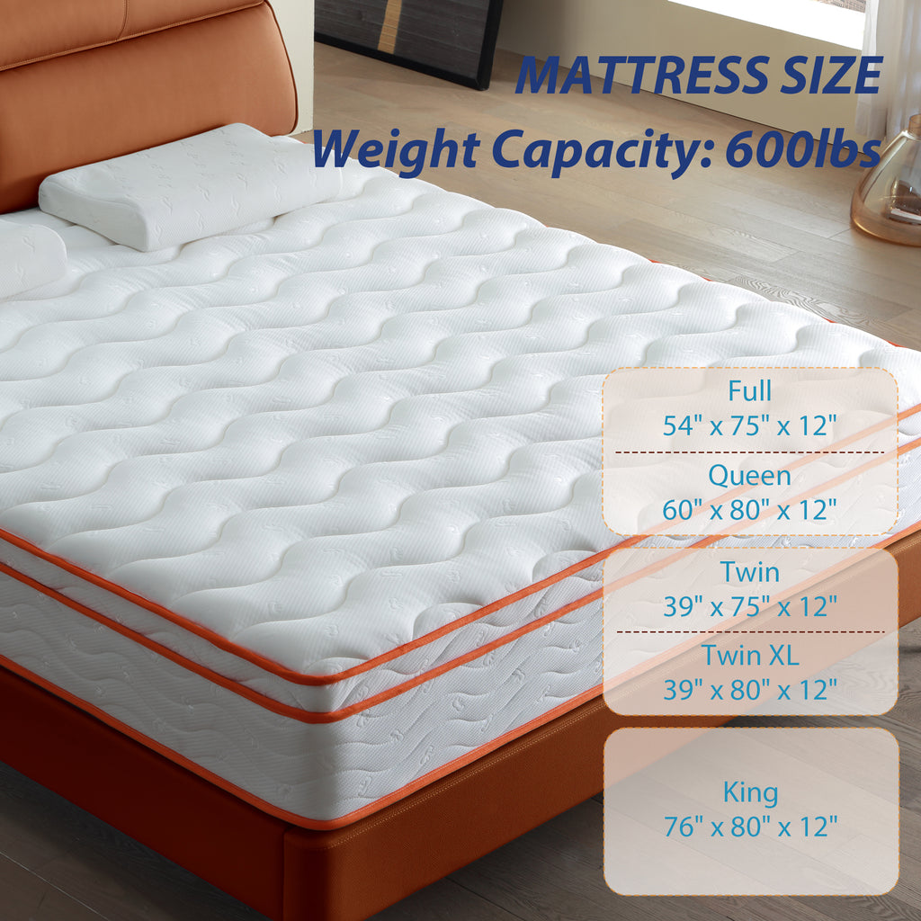 King Mattress, 12 Inch Hybrid Mattress Euro Top Medium Firm for Back & Lumbar Support, 100 Night Trial, Individual Pocket Spring Mattresses for Motion Isolation & Pressure Relief - Grand Goldman Shop