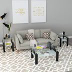 Modern Tempered Glass Tea Coffee End Table Set of 2, Transparent/Black, Metal Legs, Square Design - Grand Goldman Shop