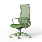 Ergonomic Colorful Office Chair 350LBS Home Office Mesh Breathable High Back, With Adjustable Lumbar Support Computer Chair, 