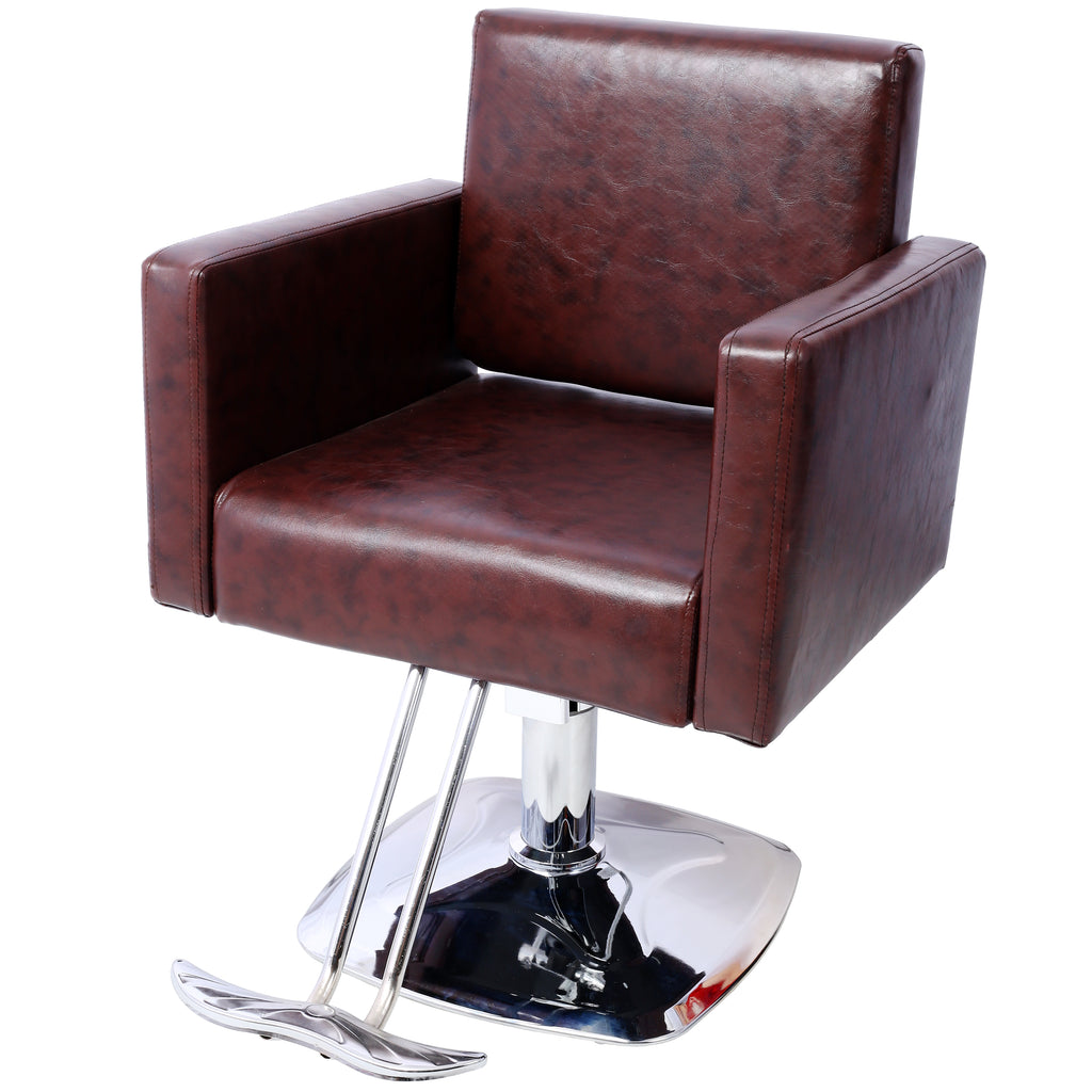 Salon Chair for Hair Stylist 360° Swivel with Heavy Duty Hydraulic Pump, Max Load Weight 330 lbs, Spa Beauty Equipment for Ba