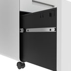 3-Drawer Wide Mobile File Cabinet with Lock, All-Steel Metal Storage Cabinet on Casters, White, Fully Assembled, Holds A4/Let