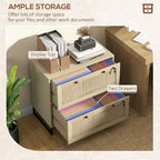 Vinsetto 2 Drawer File Cabinet with Lock, Vertical Filing Cabinet with Keys, Rattan Drawers and Adjustable Hanging Bar for Le