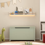 Kids Wooden Toy Box Storage with Safety Hinged Lid for Ages 2+ (Sage) - Grand Goldman