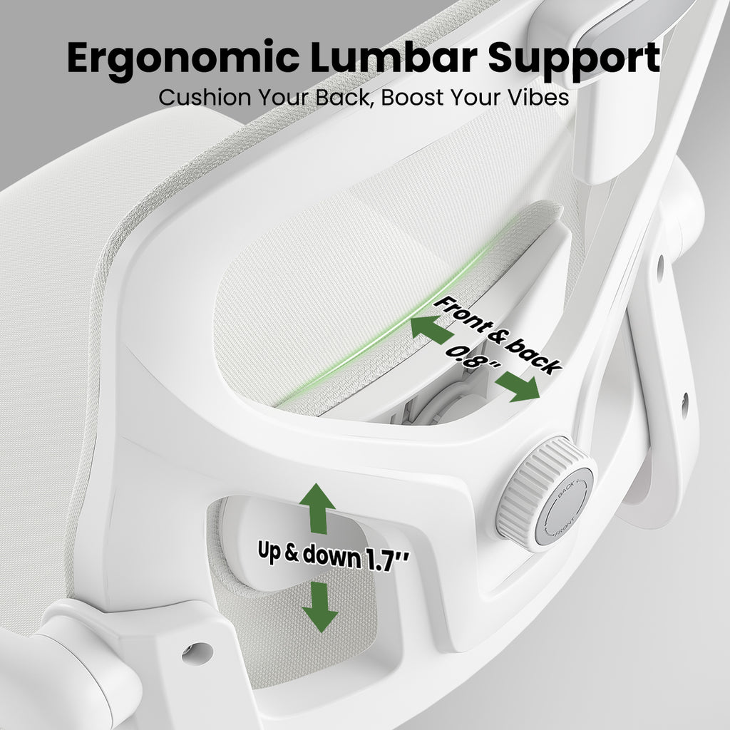 Ergonomic Office Chair, Home Office Desk Chair with Headrest, High Back Computer Chair with Armrests and Adjustable Lumbar Su