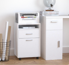 Mobile Storage Cabinet Organizer - Grand Goldman