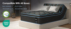 King Size Mattress,10 Inch Hybrid Mattress, Individually Pocketed Innerspring, Medium Firm - Grand Goldman Shop
