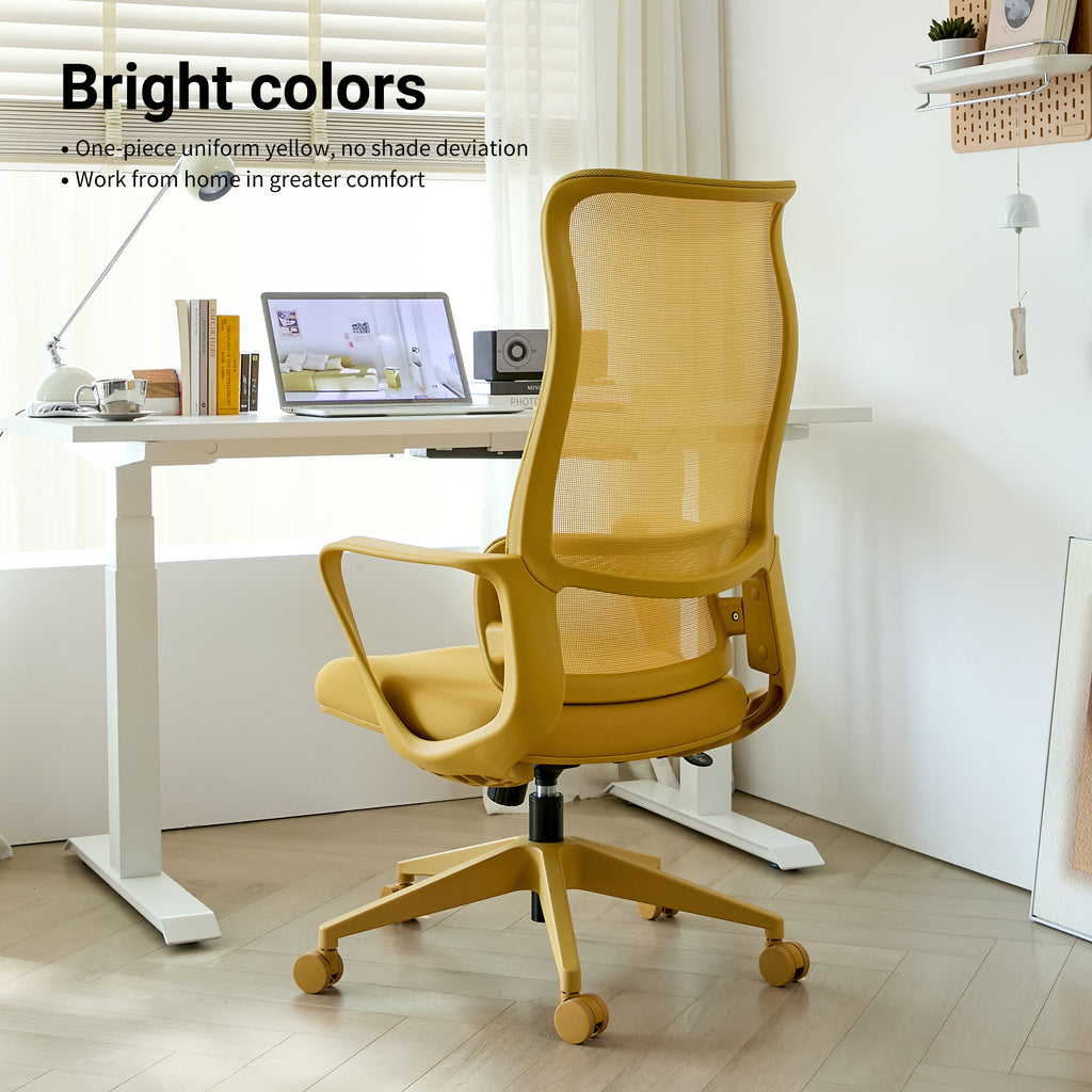 Ergonomic Colorful Office Chair 350LBS Home Office Mesh Breathable High Back, With Adjustable Lumbar Support Computer Chair, 