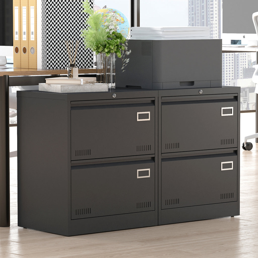 Modern Black Metal 2 Drawer Lateral File Cabinet with Lock for Home Office Use - Grand Goldman