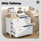 Lateral File Cabinet,Filing Cabinet with Adjustable Hanging Bar,For Home and Office - Grand Goldman