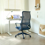 Ergonomic Colorful Office Chair 350LBS Home Office Mesh Breathable High Back, With Adjustable Lumbar Support Computer Chair, 