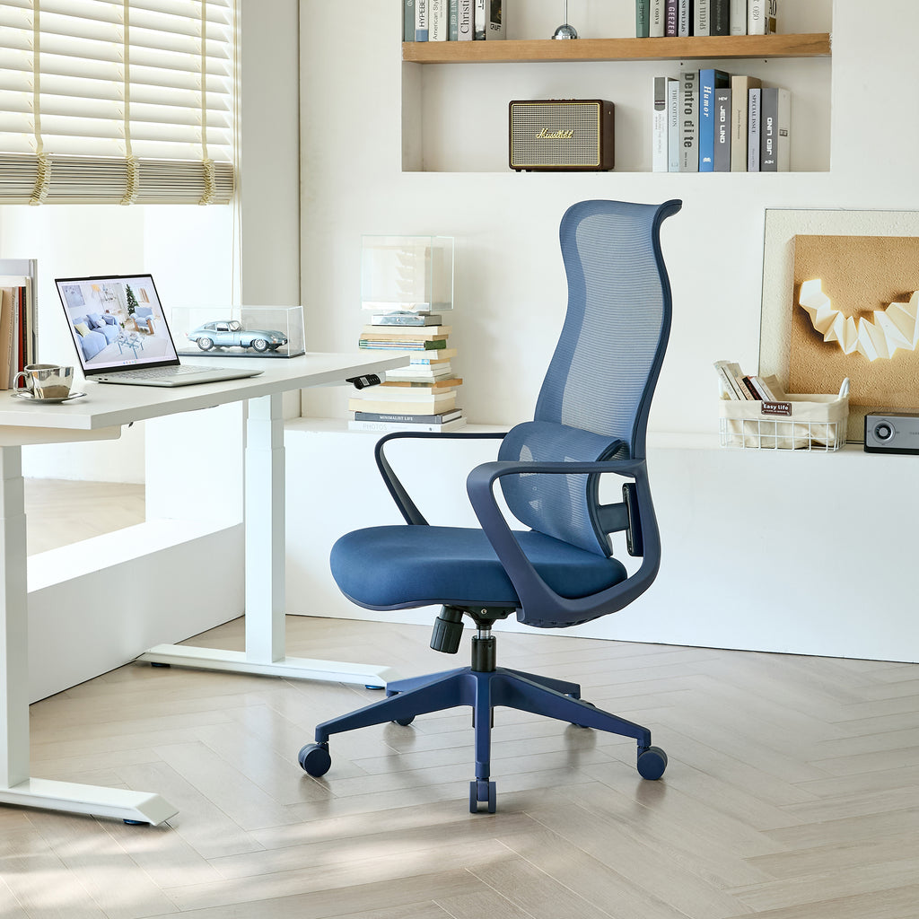 Ergonomic Colorful Office Chair 350LBS Home Office Mesh Breathable High Back, With Adjustable Lumbar Support Computer Chair, 