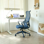 Ergonomic Colorful Office Chair 350LBS Home Office Mesh Breathable High Back, With Adjustable Lumbar Support Computer Chair, 
