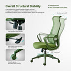 Ergonomic Colorful Office Chair 350LBS Home Office Mesh Breathable High Back, With Adjustable Lumbar Support Computer Chair, 