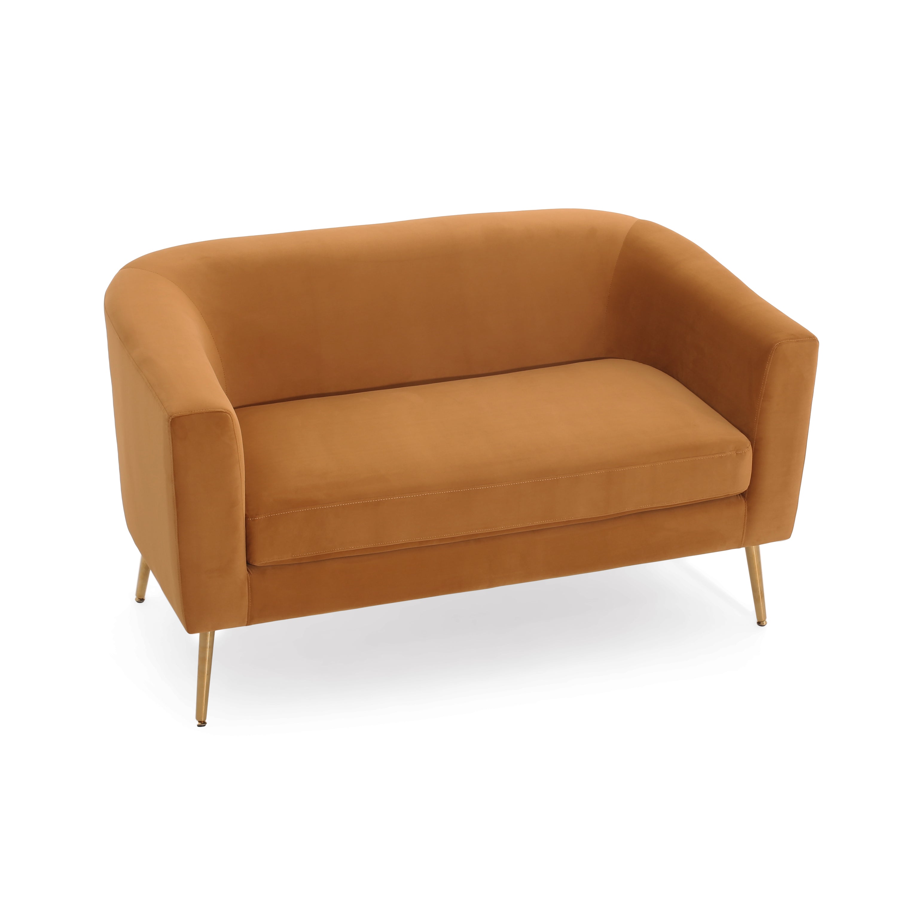 Modern Design Style Loveseat - Grand Goldman Shop