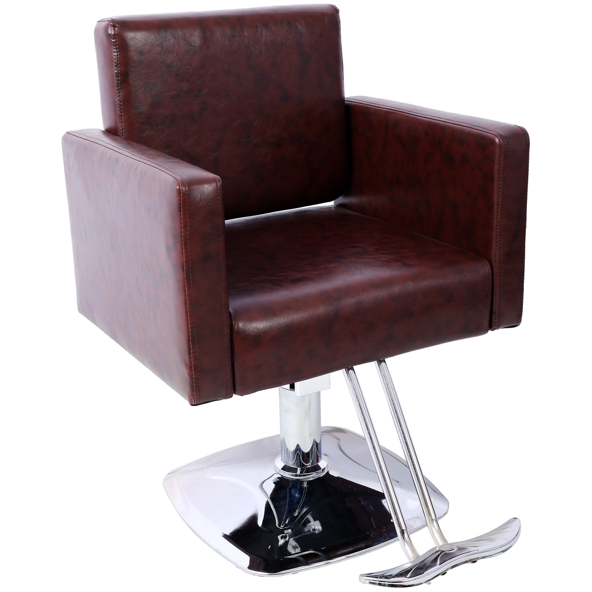 Salon Chair for Hair Stylist 360° Swivel with Heavy Duty Hydraulic Pump, Max Load Weight 330 lbs, Spa Beauty Equipment for Ba