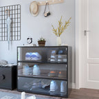 Black Glass Door Shoe Box Shoe Storage Cabinet  With RGB Led Light - Grand Goldman Shop