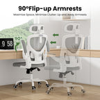 Ergonomic Office Chair, Home Office Desk Chair with Headrest, High Back Computer Chair with Armrests and Adjustable Lumbar Su