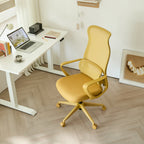 Ergonomic Colorful Office Chair 350LBS Home Office Mesh Breathable High Back, With Adjustable Lumbar Support Computer Chair, 