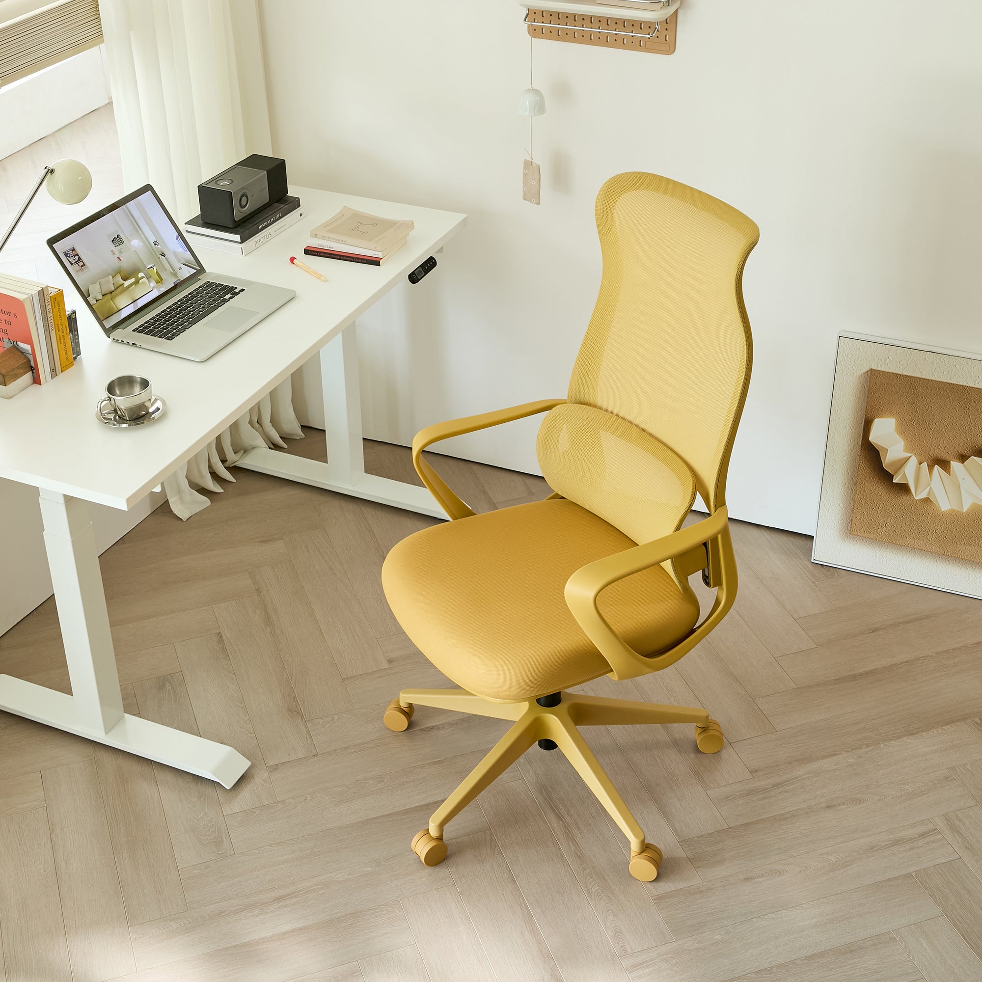 Ergonomic Colorful Office Chair 350LBS Home Office Mesh Breathable High Back, With Adjustable Lumbar Support Computer Chair, 