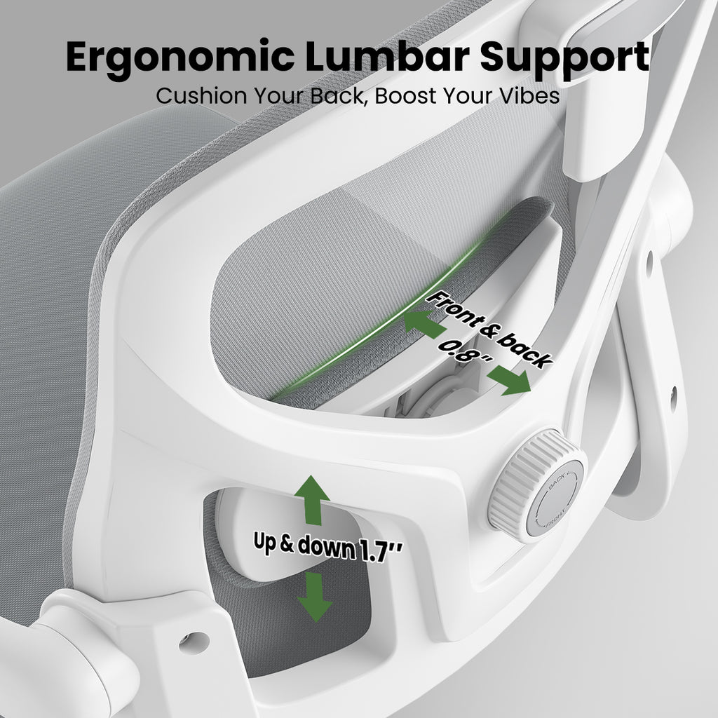 Ergonomic Office Chair, Home Office Desk Chair with Headrest, High Back Computer Chair with Armrests and Adjustable Lumbar Su
