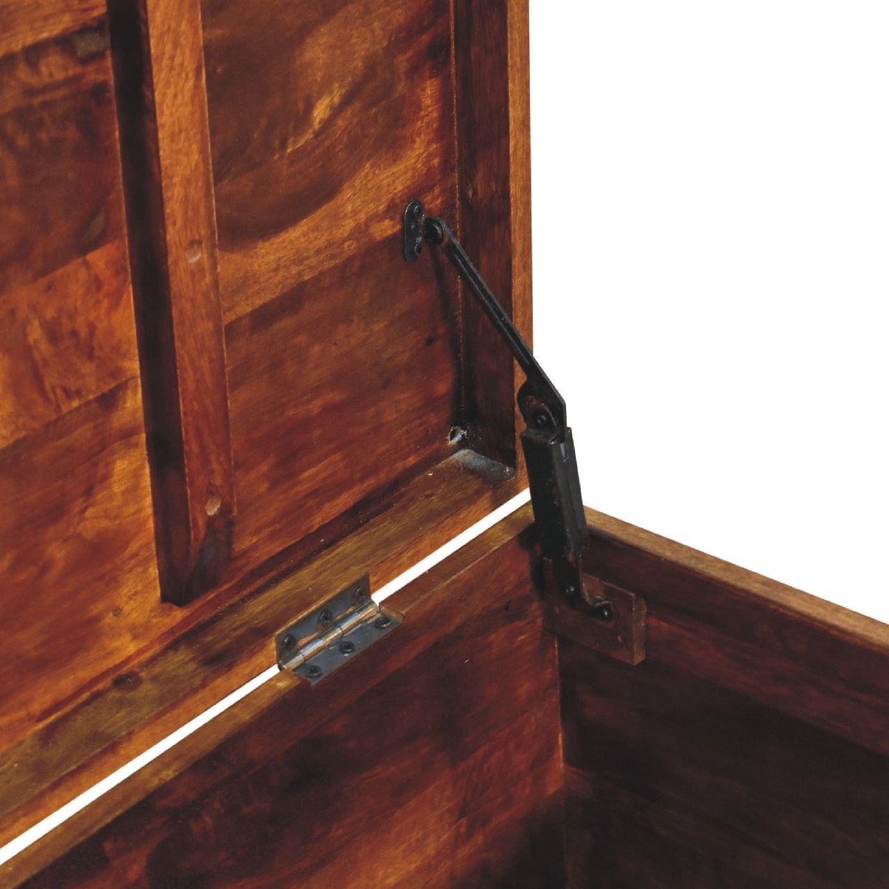 Solid Wood Buffalo Leather Upholstered Hide Chestnut Storage Trunk, Tan & Brown - Grand Goldman Shop