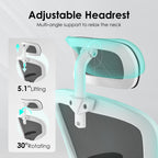 Ergonomic Office Chair, Home Office Desk Chair with Headrest, High Back Computer Chair with Armrests and Adjustable Lumbar Su