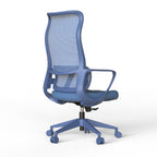 Ergonomic Colorful Office Chair 350LBS Home Office Mesh Breathable High Back, With Adjustable Lumbar Support Computer Chair, 