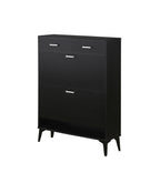 Large size Shoe Cabinet,Free Standing Tipping Bucket Shoe Rack Organizer with 2 Flip Drawers&2 Drawer,Modern Tipping Bucket for Entryway,Hallway,Bedroom-black - Grand Goldman Shop