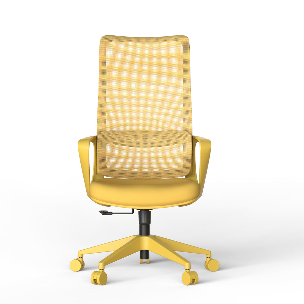 Ergonomic Colorful Office Chair 350LBS Home Office Mesh Breathable High Back, With Adjustable Lumbar Support Computer Chair, 
