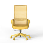 Ergonomic Colorful Office Chair 350LBS Home Office Mesh Breathable High Back, With Adjustable Lumbar Support Computer Chair, 