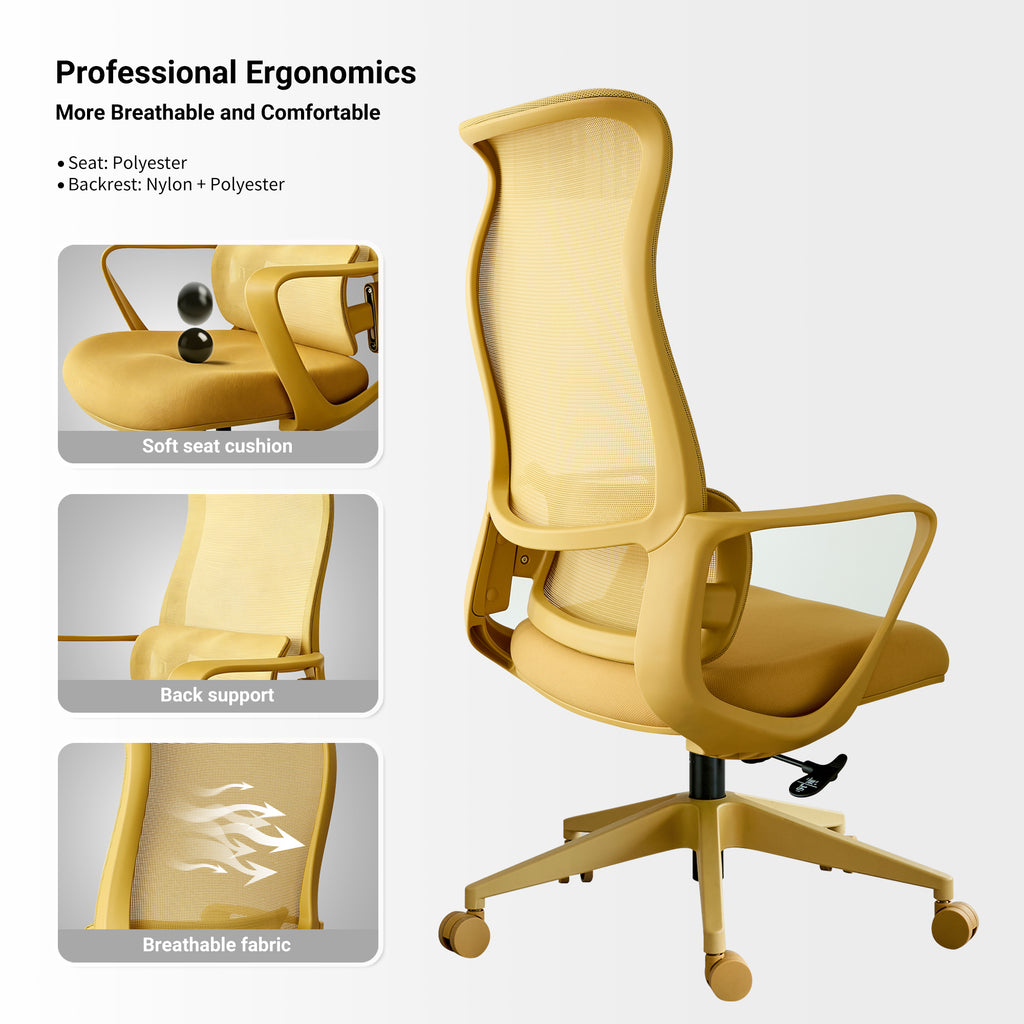 Ergonomic Colorful Office Chair 350LBS Home Office Mesh Breathable High Back, With Adjustable Lumbar Support Computer Chair, 