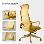 Ergonomic Colorful Office Chair 350LBS Home Office Mesh Breathable High Back, With Adjustable Lumbar Support Computer Chair, 