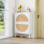 2 Door Shoe Rack, Rattan, Double Layer, Suitable for Living Room, Hallway - Grand Goldman Shop
