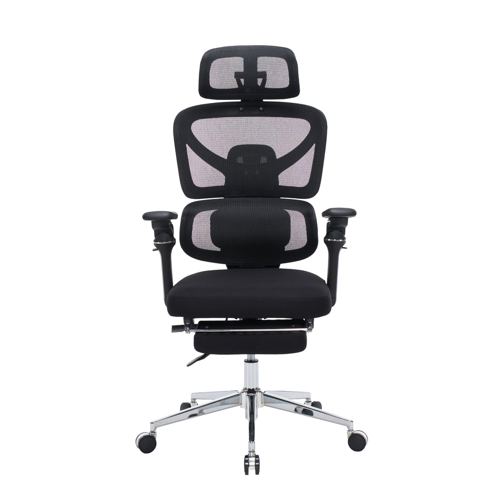Ergonomic Home Office Desk Chair with Massage Lumbar Support,4D Headrest & 5D Armrests, Adjustable Back High and Seat Depth(B