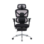 Ergonomic Home Office Desk Chair with Massage Lumbar Support,4D Headrest & 5D Armrests, Adjustable Back High and Seat Depth(B