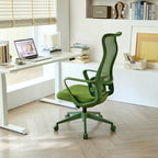 Ergonomic Colorful Office Chair 350LBS Home Office Mesh Breathable High Back, With Adjustable Lumbar Support Computer Chair, 