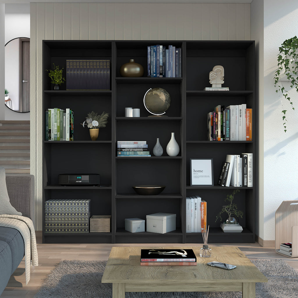 Lainor 3 Piece Home Bookcase set, 74' Wide with 13 Shelves ,  Living Room Set Set  Black | Premium Home Decor - Grand Goldman