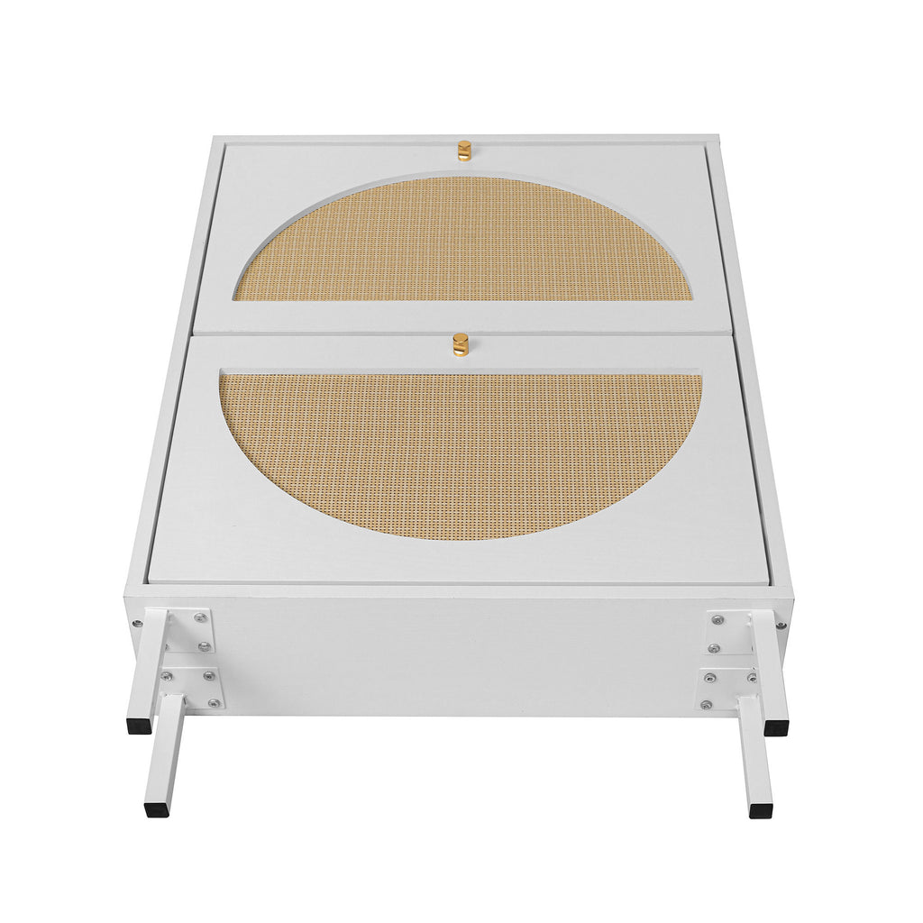 2 Door Shoe Rack, Rattan, Double Layer, Suitable for Living Room, Hallway - Grand Goldman Shop