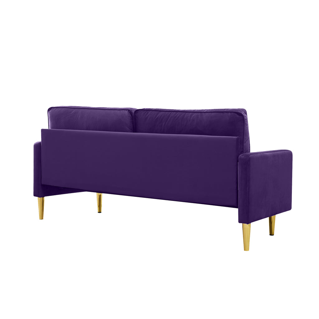 65-inch minimalist velvet sofa with metallic-coloured legs, complete with cushions, suitable for the living room or bedroom. - Grand Goldman Shop
