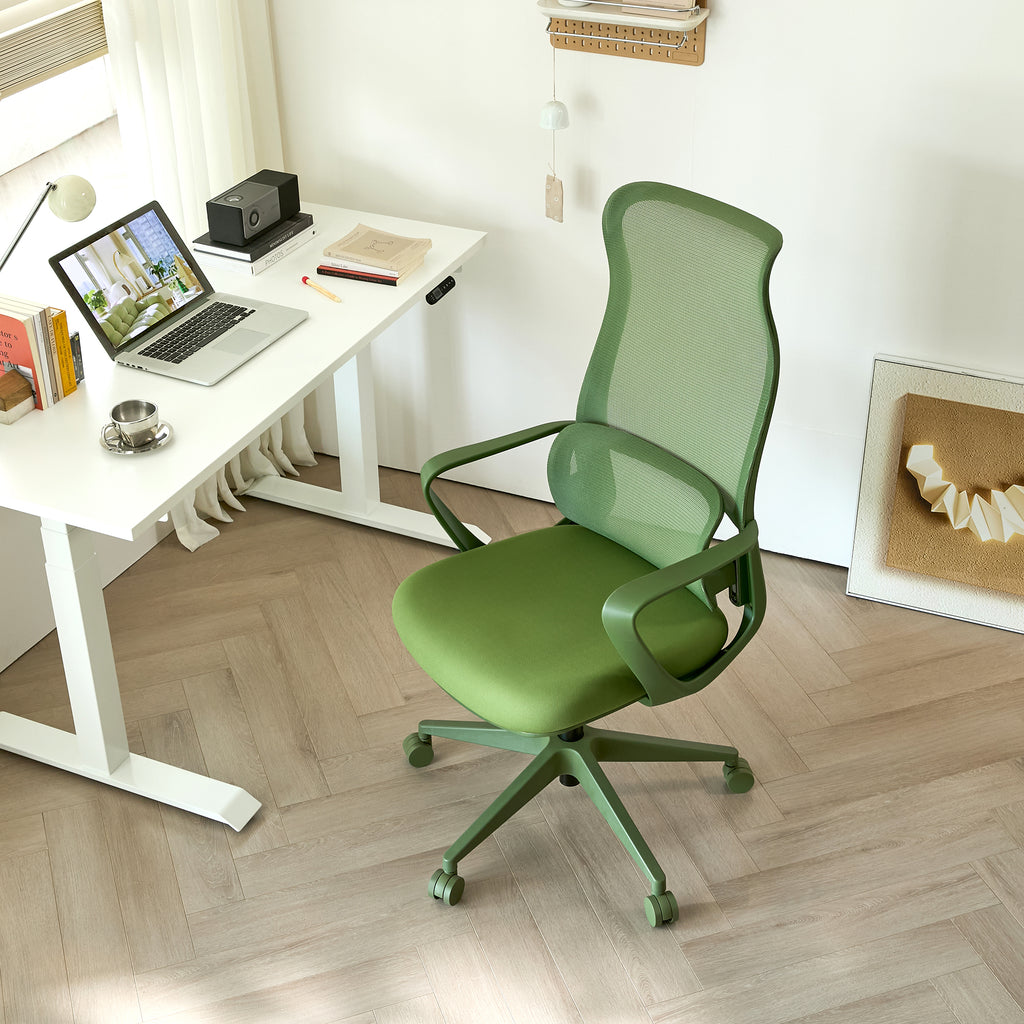 Ergonomic Colorful Office Chair 350LBS Home Office Mesh Breathable High Back, With Adjustable Lumbar Support Computer Chair, 