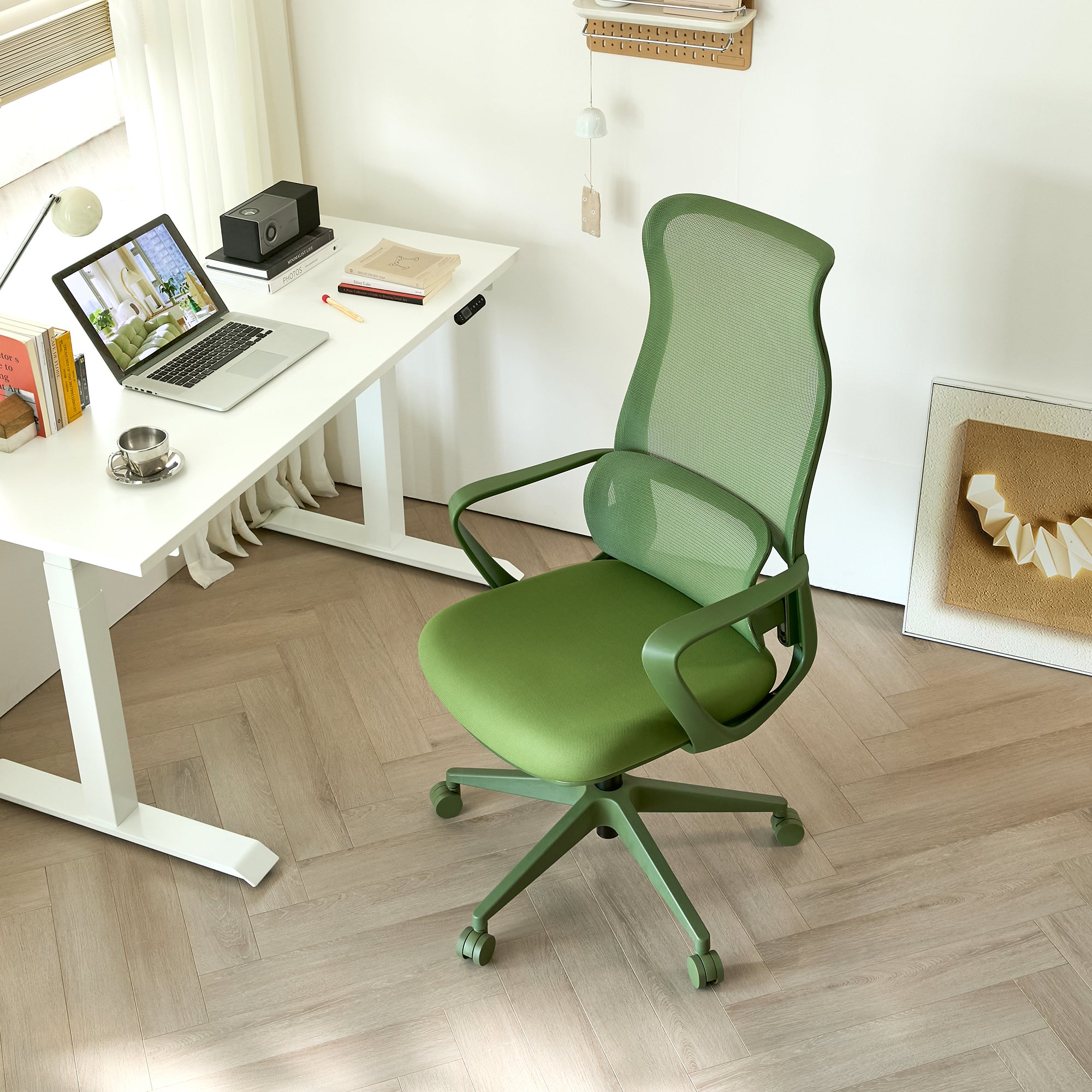 Ergonomic Colorful Office Chair 350LBS Home Office Mesh Breathable High Back, With Adjustable Lumbar Support Computer Chair, 