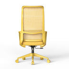 Ergonomic Colorful Office Chair 350LBS Home Office Mesh Breathable High Back, With Adjustable Lumbar Support Computer Chair, 