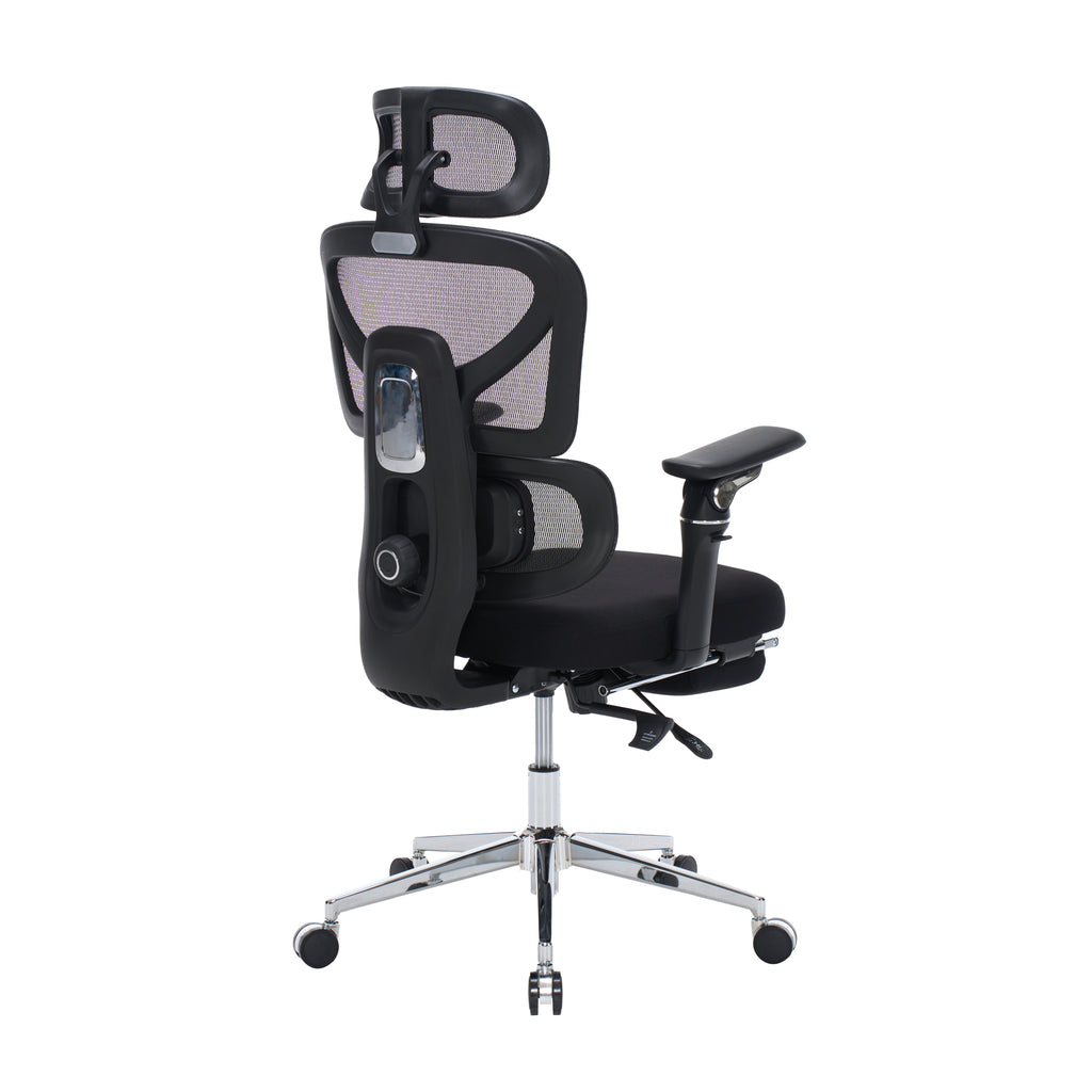 Ergonomic Home Office Desk Chair with Massage Lumbar Support,4D Headrest & 5D Armrests, Adjustable Back High and Seat Depth(B