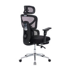 Ergonomic Home Office Desk Chair with Massage Lumbar Support,4D Headrest & 5D Armrests, Adjustable Back High and Seat Depth(B