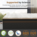 Full Mattress, 10 Inch Plush Hybrid Mattresses with Gel Memory Foam, Fiberglass-Free Mattress in a Box, Individual Pocket Spring-Motion Isolation-Edge Support, CertiPUR-US Certified - Grand Goldman Shop