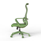 Ergonomic Colorful Office Chair 350LBS Home Office Mesh Breathable High Back, With Adjustable Lumbar Support Computer Chair, 
