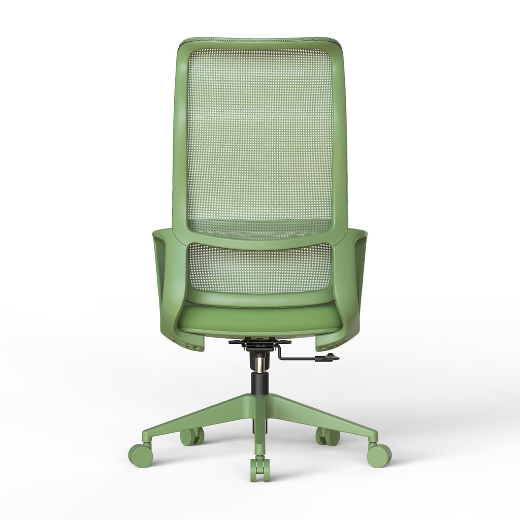 Ergonomic Colorful Office Chair 350LBS Home Office Mesh Breathable High Back, With Adjustable Lumbar Support Computer Chair, 