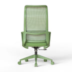 Ergonomic Colorful Office Chair 350LBS Home Office Mesh Breathable High Back, With Adjustable Lumbar Support Computer Chair, 