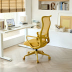 Ergonomic Colorful Office Chair 350LBS Home Office Mesh Breathable High Back, With Adjustable Lumbar Support Computer Chair, 